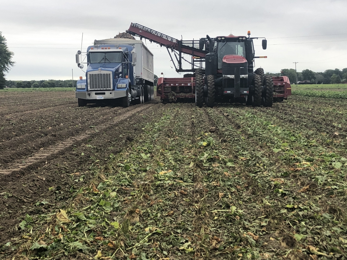 Michigan Sugar Company To Begin 2019-20 Sugarbeet Slicing Campaign ...